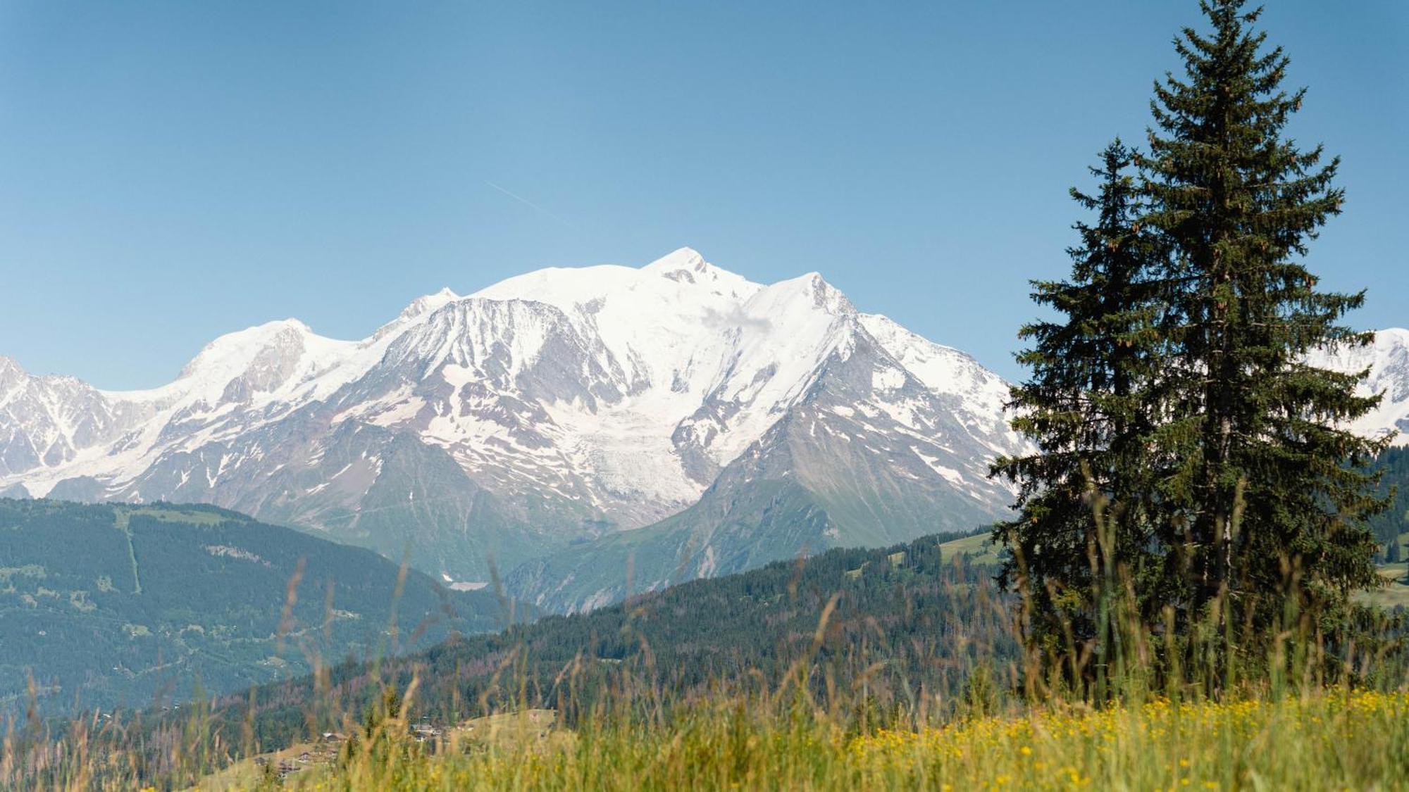 Chalet Alpen Valley, Mont-Blanc Combloux Ngoại thất bức ảnh