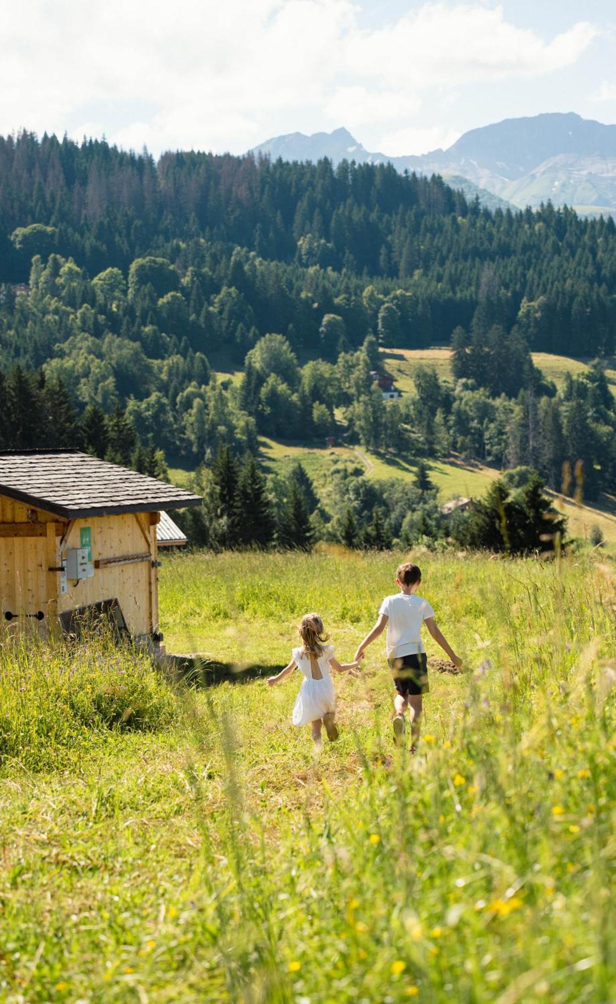 Chalet Alpen Valley, Mont-Blanc Combloux Ngoại thất bức ảnh