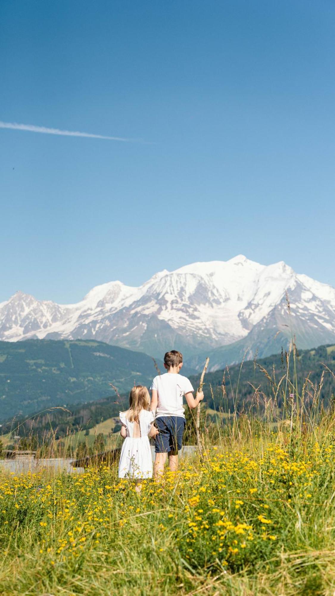 Chalet Alpen Valley, Mont-Blanc Combloux Ngoại thất bức ảnh